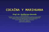 COCAÍNA Y MARIHUANA Prof. Dr. Guillermo Dorado Médico Psiquiatra Presidente del Colegio Latinoamericano de Neuropsicofarmacología (CLANP) Profesor Adjunto.
