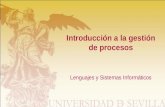Introducción a la gestión de procesos Lenguajes y Sistemas Informáticos.