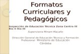 Formatos Curriculares y Pedagógicos Inspección de Educación Técnica Zona Centro III Río II Río III Supervisora Miriam Macaño Dirección General de Educación.