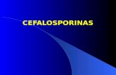 CEFALOSPORINAS.  Química Las Cefalosporinas son antibióticos semisintéticos derivados de la Cefalosporina C, una sustancia producida por el hongo Cephalosporium.