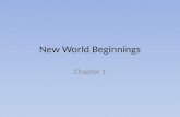 Chapter 1  - New World Beginnings