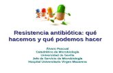 Resistencia antibiótica: qué hacemos y qué podemos hacer Álvaro Pascual Catedrático de Microbiología Universidad de Sevilla Jefe de Servicio de Microbiología.