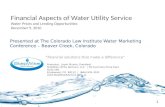 Financial Aspects Of Water Utility Service