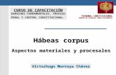TRIBUNAL CONSTITUCIONAL CENTRO DE ESTUDIOS CONSTITUCIONALES Hábeas corpus Aspectos materiales y procesales Víctorhugo Montoya Chávez CURSO DE CAPACITACIÓN.