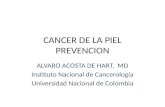 CANCER DE LA PIEL PREVENCION ALVARO ACOSTA DE HART, MD Instituto Nacional de Cancerología Universidad Nacional de Colombia.