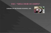 ESC. MELCHOR OCAMPO LAGUNA DE BELTRANES ROSARIO, SIN.