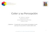 Dr. Willy H. Gerber Instituto de Fisica Universidad Austral de Chile Valdivia, Chile Objetives: 1  – Color-y-su-percepcion-Version-09.08.