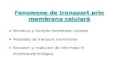 Fenomene de Transport Membranar MG 2009-2010 Prezentare Pp