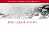 Hepatology - tradus, 2009