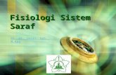 Fisiologi Sistem Saraf (Dr.imran, SpS) 2013