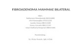 Fibroadenoma Mammae Bilateral
