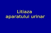 Litiaza Urinara