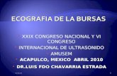 XXIX CONGRESO NACIONAL Y VI CONGRESO INTERNACIONAL DE ULTRASONIDO AMUSEM ACAPULCO, MEXICO ABRIL 2010 DR.LUIS FDO CHAVARRIA ESTRADA DR.LUIS FDO CHAVARRIA.