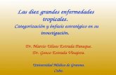 Las diez grandes enfermedades tropicales. Categorización y énfasis estratégico en su investigación. Dr. Marcio Ulises Estrada Paneque. Dr. Genco Estrada.