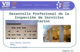 Desarrollo Profesional de la Inspección de Servicios Sanitarios CARRERA PROFESIONAL Luis Manuel Garrido Gámez Presidente AAISS Almería 25-10-07