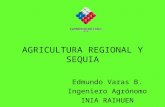 AGRICULTURA REGIONAL Y SEQUIA Edmundo Varas B. Ingeniero Agrónomo INIA RAIHUEN.