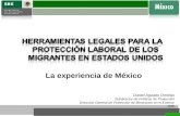 Daniel Aguado Ornelas Subdirector de Políticas de Protección Dirección General de Protección de Mexicanos en el Exterior SRE La experiencia de México.