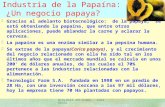 BIOLOGIA APLICADA - LUIS ROSSI Industria de la Papaína: ¿Un negocio papaya? §Gracias al adelanto biotecnológico: de la papaya, se está obteniendo la papaína,