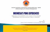 Indonesia PDNA Experiences Rev(1)