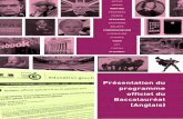 Présentation du programme officiel du Baccalauréat Anglais 2011-12