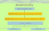Biodiversity( Folio)