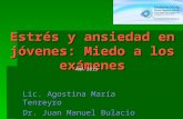 Estrés y ansiedad en jóvenes: Miedo a los exámenes Lic. Agostina María Tenreyro Dr. Juan Manuel Bulacio ANA 2013.