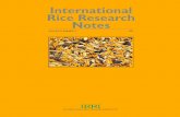 International Rice Research Notes Vol.22 No.2