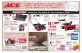Seright's Ace Hardware Fix It and Forget It Sale