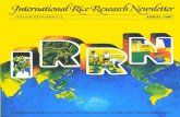 International Rice Research Newsletter Vol12 No.2