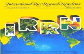 International Rice Research Newsletter Vol.9 No.4
