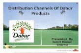 Distribution Channels of Dabur Products