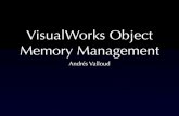 ESUG'11:  VisualWorks Object Memory Management, by Andres Valloud