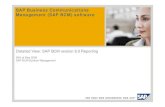 SAP BCM 6 Reporting Overview