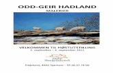 Odd Geir Hadland Høstutstilling på Sirdal Høyfjellshotell