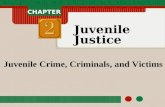 Ch2 Juvenile Crime Criminals and Victims
