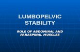 Lumbopelvic Stability Presentation