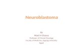 Neuroblastoma My Lecture 2011