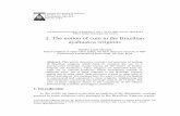 The notion of cure in the Brazilian ayahuasca religions - Sandra Lucia Goulart