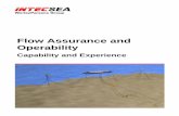Capabilities Flow Assurance