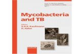Mycobacteria and TB
