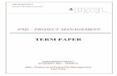 Sangram Pandit - PM1 Term Paper