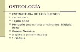 OSTEOLOGÍA ESTRUCTURA DE LOS HUESOS Consta de:- Tejido óseo- Periostio (membrana envolvente)- Medula ósea- Vasos- Nervios- 2 epífisis (extremidades)- 1.
