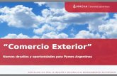 Comercio Exterior Nuevos desafíos y oportunidades para Pymes Argentinas.
