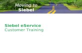 Siebel Eservice Customer Training Final