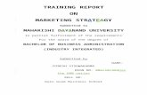 Project Report on marketing strategy for bba