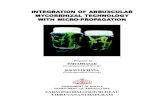 Mycorrhizal Technology in Micro Propagation