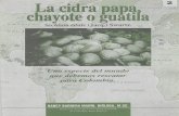 Información general de cultivo de la cidra, guayote o guatila