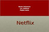Netflix Noam Schwartz Lev Gelfand Pujish Amin. Company Description Internet Retail Industry Worlds largest subscription service company Streaming movies