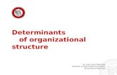 Dr. hab. Jerzy Supernat Institute of Administrative Studies University of Wrocław Determinants of organizational structure.