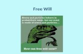 Free Will. The importance of free will Human autonomy and dignity Value of deliberation Deserving praise and condemnation Moral responsibility.